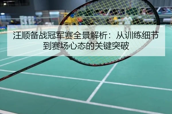 汪顺备战冠军赛全景解析：从训练细节到赛场心态的关键突破