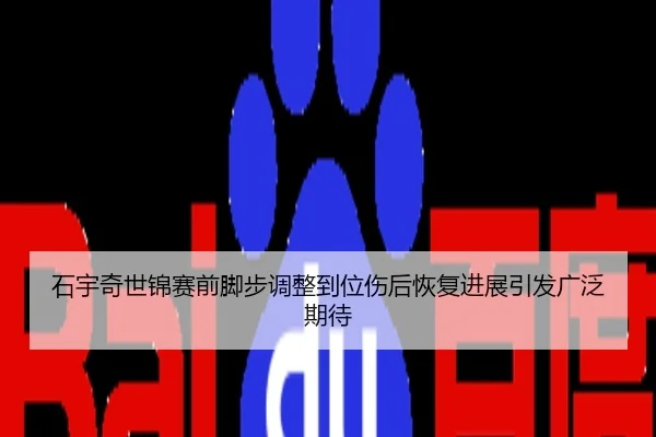 石宇奇世锦赛前脚步调整到位伤后恢复进展引发广泛期待