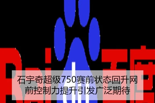 石宇奇超级750赛前状态回升网前控制力提升引发广泛期待